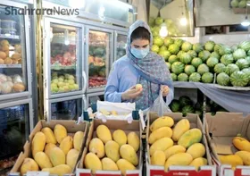 قیمت امروز میوه و صیفی&zwnj;جات در تره&zwnj;بار (۲۰ خرداد ۱۴۰۴) | ورود انبه با قیمت نجومی به بازار میوه مشهد