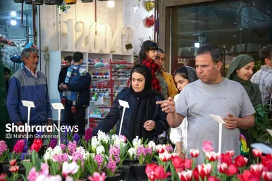 حال و هوای بازار گل مشهد در آستانه عید