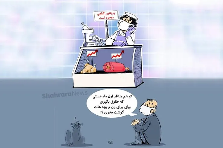 کاریکاتور | ایرانی‌ها فقط در ۱۰ روز اول هرماه گوشت می‌خرند
