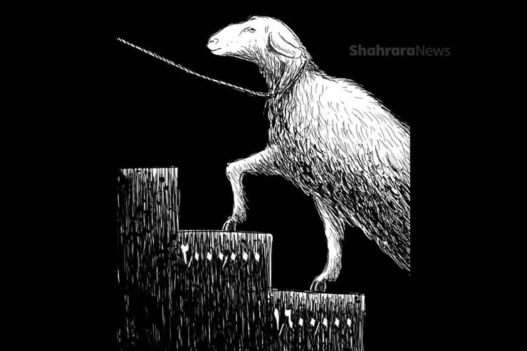 کارتون | افزایش قیمت دام زنده به‌علت قاچاق