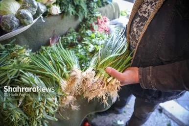 گزارش تصویری | نظارت اتاق اصناف بر کسب و کار بلوار توس