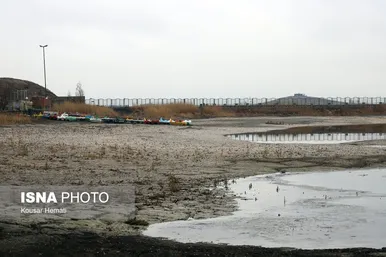 گزارش تصویری | کم آبی «سراب نیلوفر» همچنان ادامه دارد