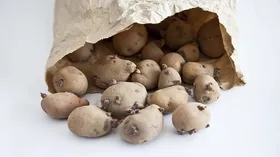 کدام سیب زمینی&zwnj;ها سمی هستند؟