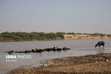 منطقه گاومیش آباد در اهواز