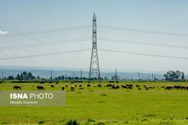 پتروشیمی میانکاله از نگاه دوربین