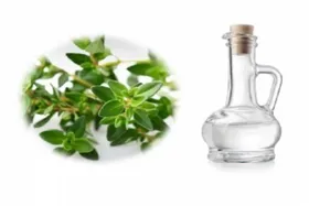 اینفوگرافی| خواص عرق گیاهی آویشن
