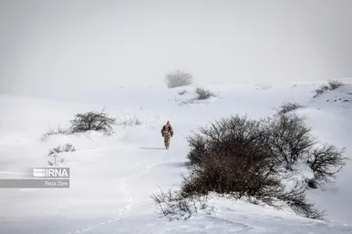 مرزبانان وطن در زمستان