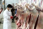 تشدید نظارت بر حمل‌ونقل فراورده‌های خام دامی ارسالی به مرز‌های عراق