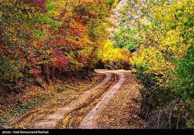 ایران زیباست | پاییز در ارسباران