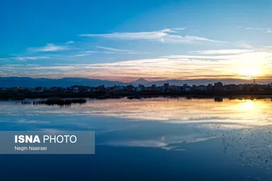 گزارش تصویری | وقتی تالاب‌ می‌میرد...