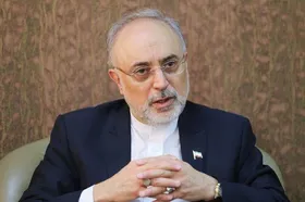 صالحی: رهبری فرمودند مذاکرات مسقط و ۱+۵ با آمریکا باید هماهنگ جلو رود | احمدی نژاد استنکاف کرد + فیلم