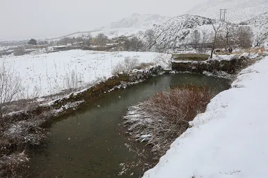 یک روز برفی