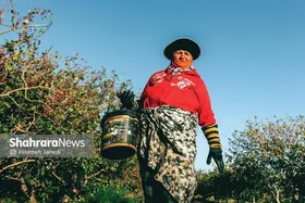 برای پسته دهان&zwnj;بسته