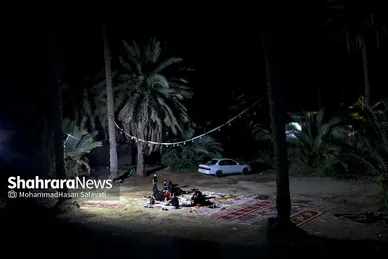 گزارش تصویری | پیاده روی شبانه زائران اربعین در طریق العلماء