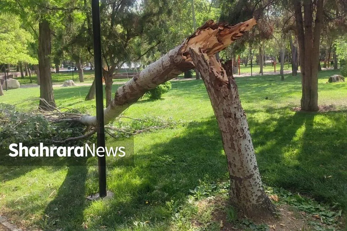 هر چه بادا باد!