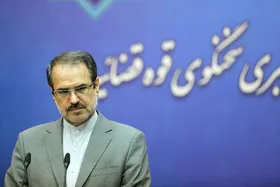 واکنش سخنگوی قوه&zwnj; قضاییه به اختلاف نظرها در خصوص برگه سبز خودرو + فیلم