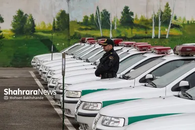 آغاز طرح تشدید مبارزه با سرقت