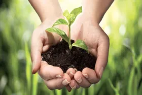 اولویت&zwnj;های سازمان اوقاف برای وقف در ماه رمضان ۱۴۰۳