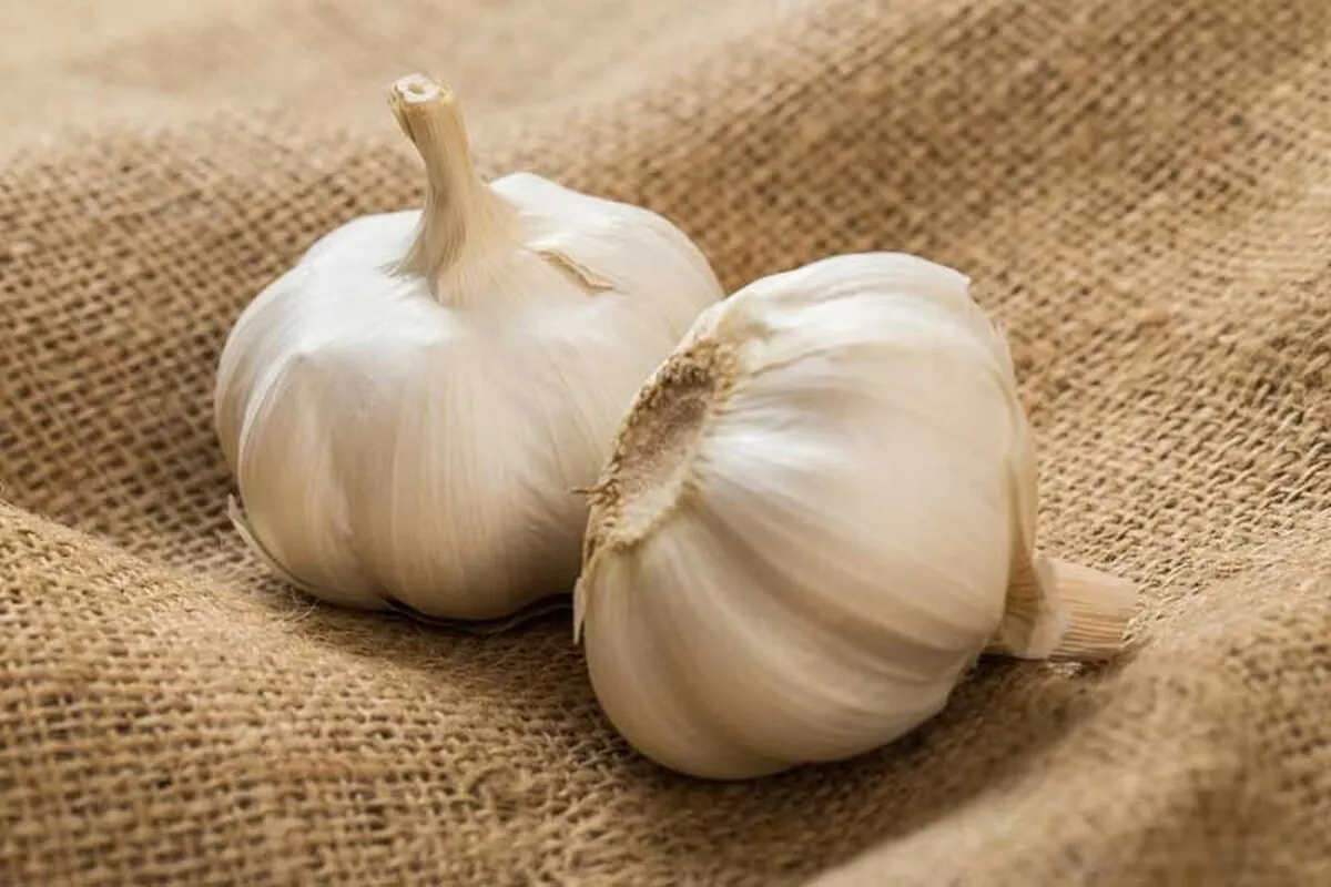 علائم آلرژی به سیر چیست؟