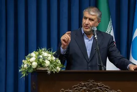 واکنش رئیس سازمان انرژی اتمی به توهمات آمریکایی&zwnj;ها