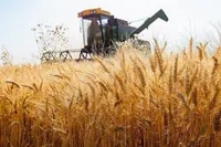 اختصاص ۴۲۵ میلیارد تومان اعتبار برای توسعه مکانیزاسیون کشاورزی خراسان رضوی