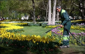 کمتر از ۱۰ درصد از آبیاری فضای سبز شهر مشهد با آب شرب انجام می&zwnj;شود