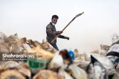 امحاء کالاهای معدومی سازمان اموال تملیکی‎‎