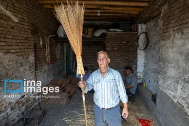 گزارش تصویری | جاروی سنتی قَرامَلِک