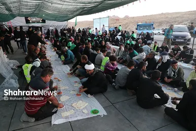 زائران پیاده حرم امام رضا (ع)