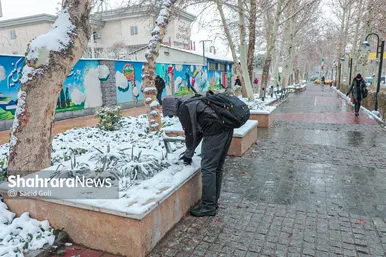 بارش برف در مشهد (۰۷/ ۱۲/ ۱۴۰۲)