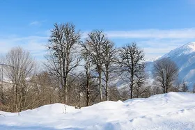 مدارس کدام شهر&zwnj;های استان فارس فردا چهارشنبه (۲۸ دی ۱۴۰۱) تعطیل شد؟