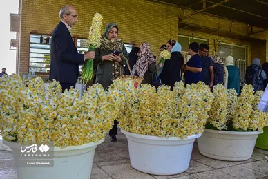 ایران زیباست | نرگسِ «بِهبهان»