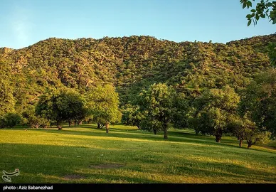 ایران زیباست | طبیعت بهاری منطقه دره اناران سپیدشت خرم آباد