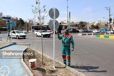 رنگ بهار در خیابان‌های مشهد