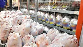 نظر یک تولیدکننده: قیمت&zwnj;گذاری دستوری در صنعت مرغ جواب نمی&zwnj;دهد