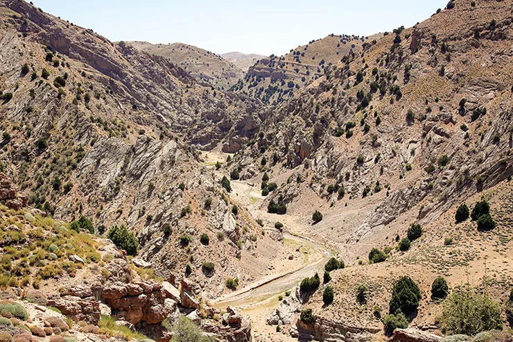ز هرچه رنگ تعلق پذیرد آزادند
