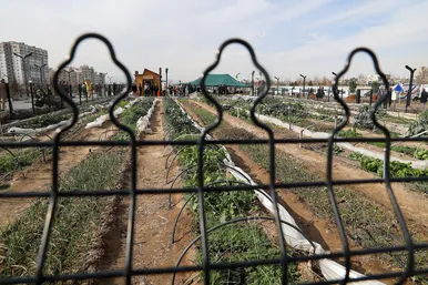 سفر وزیر کشور به مشهد