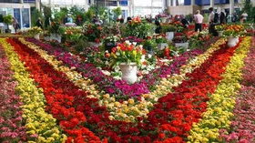 سال ۹۸، صادرات گل ۴۰ میلیون دلار و واردات ۱۵ میلیون دلار