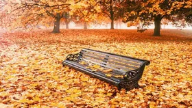 ریزش برگ درختان در پاییز چه تأثیری بر سرعت چرخش زمین دارد؟