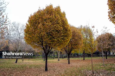 طبیعت پاییزی بوستان های مشهد