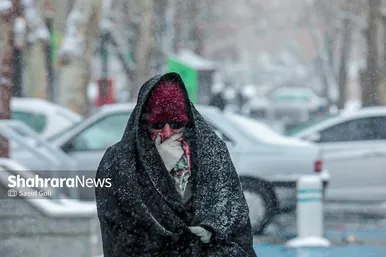 بارش برف در مشهد (۰۷/ ۱۲/ ۱۴۰۲)