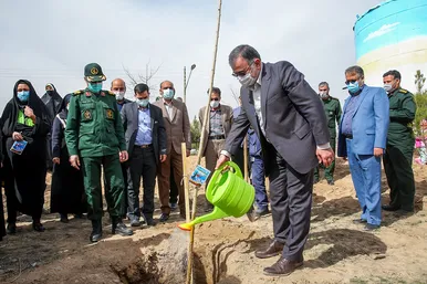 پویش سراسری درخت‌کاری