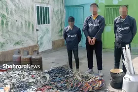 دستگیری باند سرقت از باغ ویلا&zwnj;ها در اطراف مشهد | قهقهه &laquo;علی خردو&raquo; در &laquo;قهقهه&raquo; شکست
