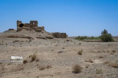 ایران زیباست | پناهگاه حیات وحش نایبندان