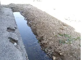 پایان آب&zwnj;تنی کودکان در پورسینای ۵۰+ تصاویر