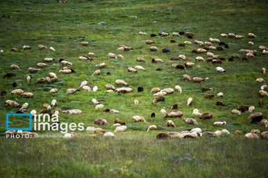 ایران زیباست | ییلاق در کوهستان