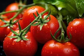 کاهش قیمت ۱۰ هزار تومانی گوجه&zwnj;فرنگی درجه یک در مشهد (۲۳ آبان ۱۴۰۳)