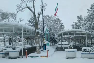 گزارش تصویری | حال و هوای برفی گلزار مطهر شهدا آرامستان بهشت رضا (ع) مشهد (۲۵ آذر ۱۴۰۳)