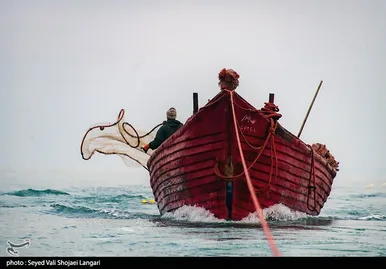 صید ماهی استخوانی - مازندران