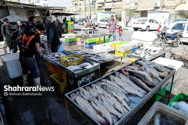 بازار ماهی فروشان در شهرک عرب‌های مشهد